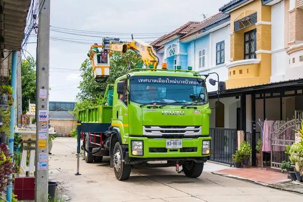 Quality Tree Planting and Maintenance in Stanfordville