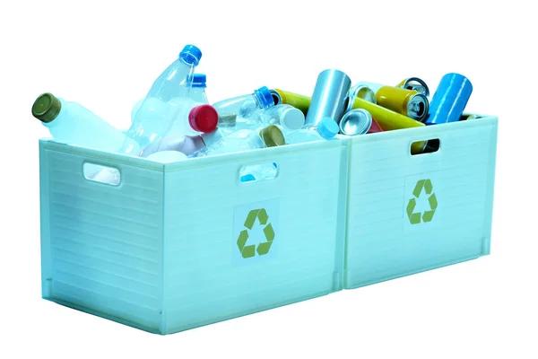 Mobile Tree Care: Fast, Reliable, and Local