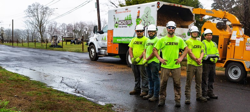 Licensed and Insured Tree Service in Shelton